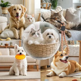 The 3D Memory Orb Memory Orb Ball Forever Orb